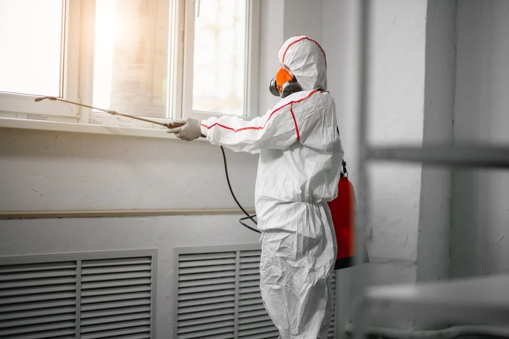 Professional mold remediation services in San Elizario, TX